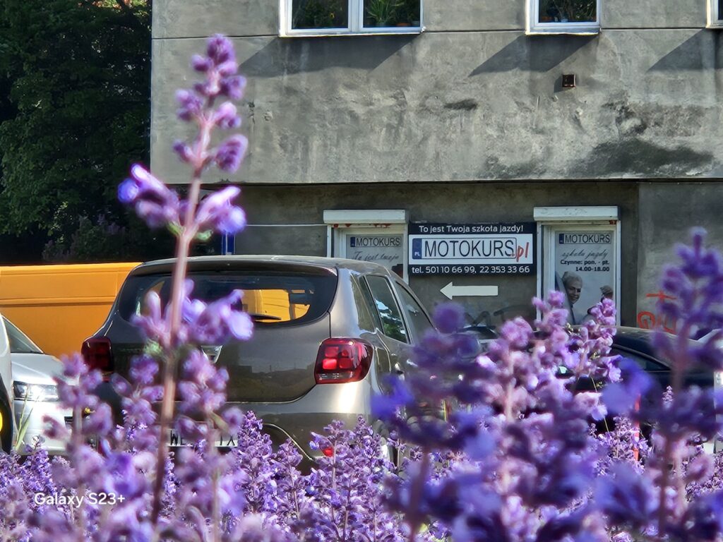 Kierunek ze strzałką na bloku jak trafić do klatki biura Motokurs
